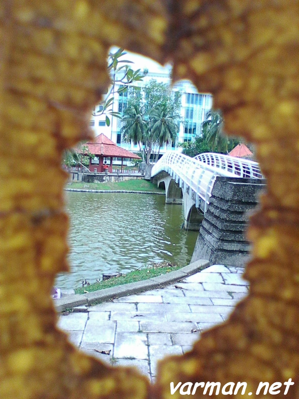 Framing: Shah Alam Lake Garden